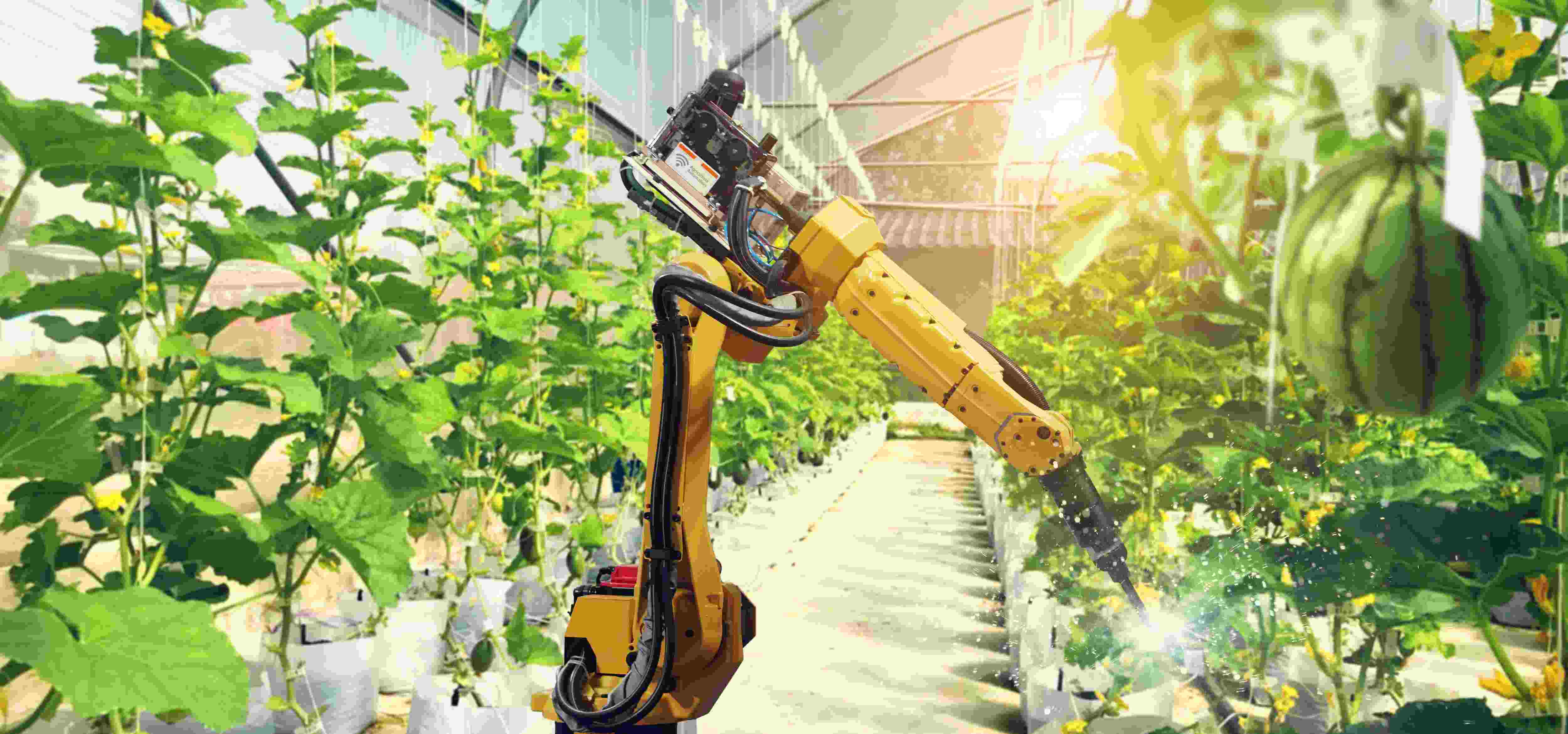 images_my_ideas_ 28/28_SHUT_stimulus_hydroponic_robotic_fertilization.jpg